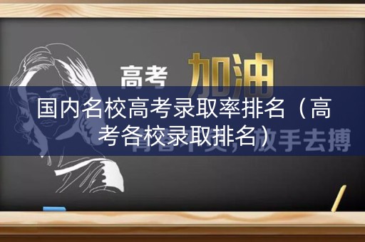 国内名校高考录取率排名（高考各校录取排名）