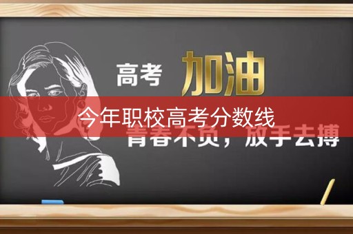 今年职校高考分数线