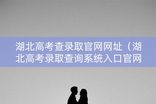 湖北高考查录取官网网址（湖北高考录取查询系统入口官网）