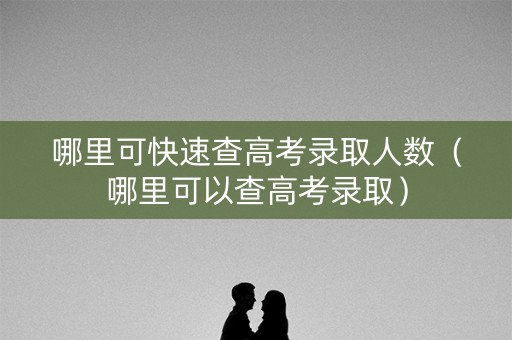 哪里可快速查高考录取人数（哪里可以查高考录取）