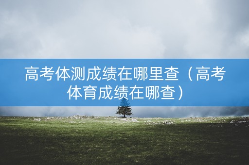 高考体测成绩在哪里查（高考体育成绩在哪查）