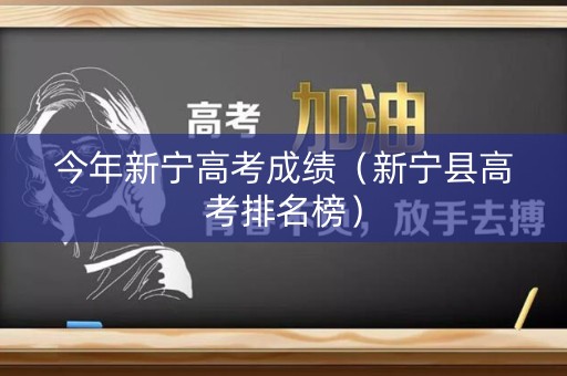 今年新宁高考成绩（新宁县高考排名榜）
