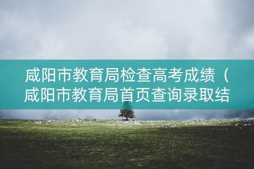 咸阳市教育局检查高考成绩（咸阳市教育局首页查询录取结果）