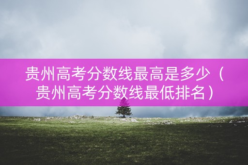 贵州高考分数线最高是多少（贵州高考分数线最低排名）