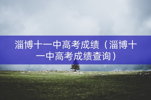 淄博十一中高考成绩（淄博十一中高考成绩查询）