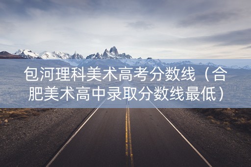 包河理科美术高考分数线（合肥美术高中录取分数线最低）