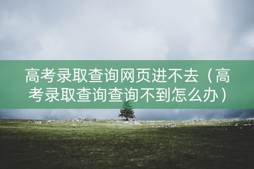 高考录取查询网页进不去（高考录取查询查询不到怎么办）