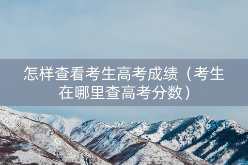 怎样查看考生高考成绩（考生在哪里查高考分数）