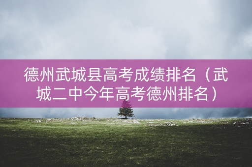 德州武城县高考成绩排名（武城二中今年高考德州排名）