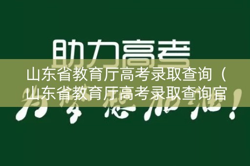 山东省教育厅高考录取查询（山东省教育厅高考录取查询官网）
