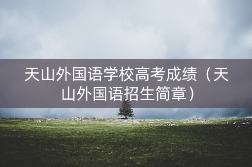 天山外国语学校高考成绩（天山外国语招生简章）