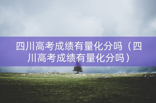 四川高考成绩有量化分吗（四川高考成绩有量化分吗）