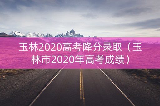 玉林2020高考降分录取（玉林市2020年高考成绩）