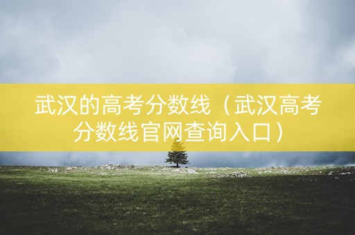 武汉的高考分数线（武汉高考分数线官网查询入口）