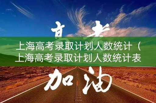 上海高考录取计划人数统计（上海高考录取计划人数统计表）