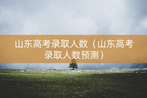 山东高考录取人数（山东高考录取人数预测）