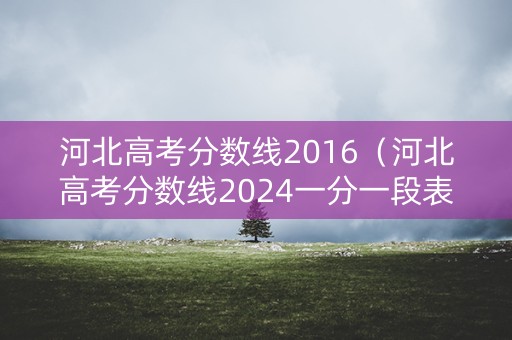 河北高考分数线2016（河北高考分数线2024一分一段表）