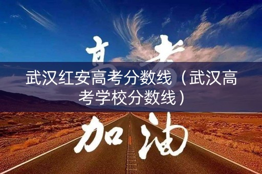 武汉红安高考分数线（武汉高考学校分数线）