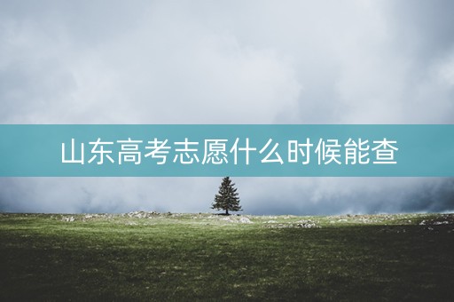 山东高考志愿什么时候能查 山东高考志愿什么时候能查