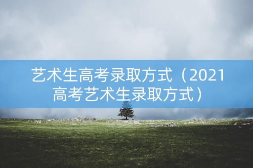 艺术生高考录取方式（2021高考艺术生录取方式）