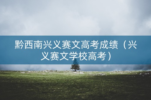 黔西南兴义赛文高考成绩（兴义赛文学校高考）