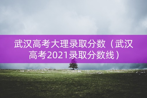 武汉高考大理录取分数（武汉高考2021录取分数线）