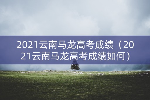 2021云南马龙高考成绩（2021云南马龙高考成绩如何）