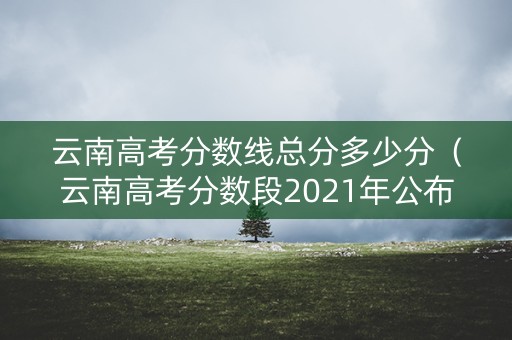 云南高考分数线总分多少分（云南高考分数段2021年公布）