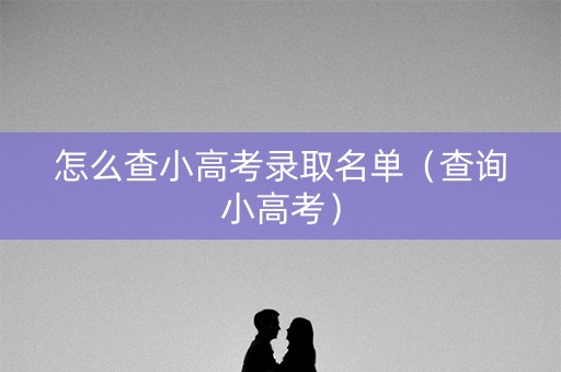 怎么查小高考录取名单（查询小高考）