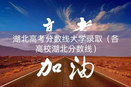 湖北高考分数线大学录取（各高校湖北分数线）