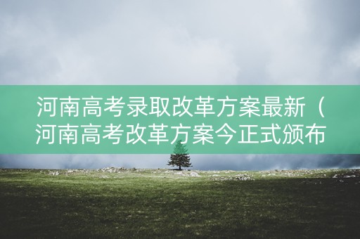河南高考录取改革方案最新（河南高考改革方案今正式颁布）