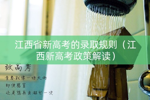 江西省新高考的录取规则（江西新高考政策解读）