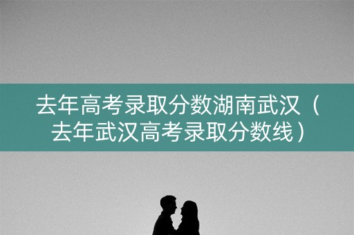 去年高考录取分数湖南武汉（去年武汉高考录取分数线）