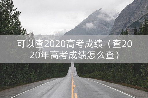可以查2020高考成绩（查2020年高考成绩怎么查）