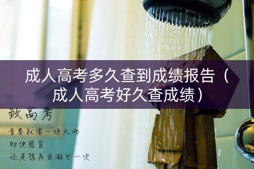 成人高考多久查到成绩报告（成人高考好久查成绩）