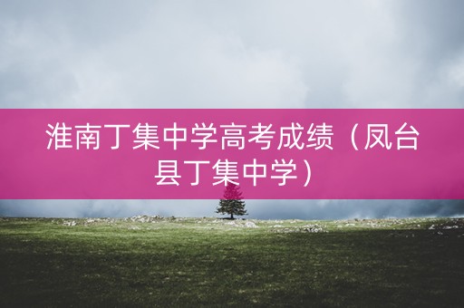 淮南丁集中学高考成绩（凤台县丁集中学）