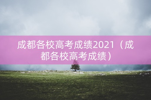 成都各校高考成绩2021（成都各校高考成绩）