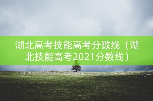 湖北高考技能高考分数线（湖北技能高考2021分数线）