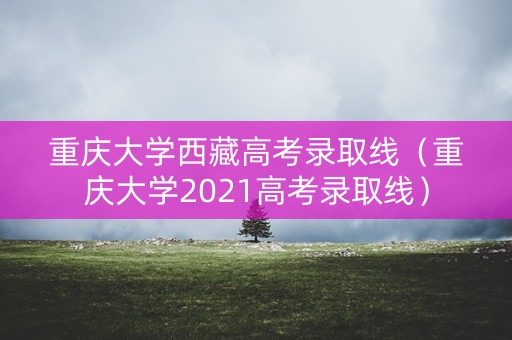 重庆大学西藏高考录取线（重庆大学2021高考录取线）