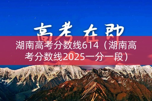 湖南高考分数线614（湖南高考分数线2025一分一段）