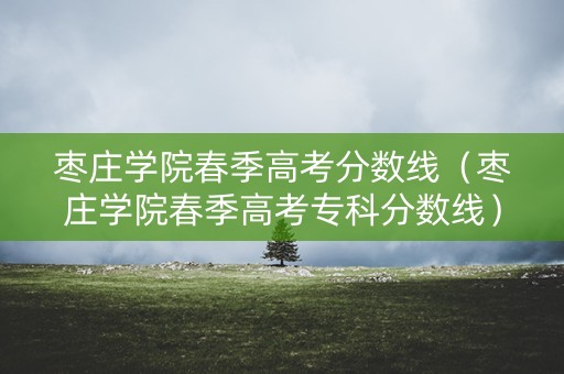 枣庄学院春季高考分数线（枣庄学院春季高考专科分数线）