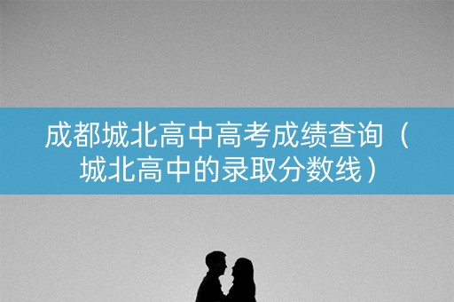 成都城北高中高考成绩查询（城北高中的录取分数线）