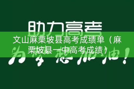 文山麻栗坡县高考成绩单（麻栗坡县一中高考成绩）