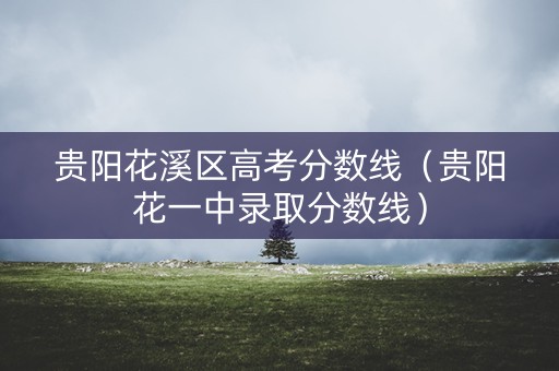 贵阳花溪区高考分数线（贵阳花一中录取分数线）