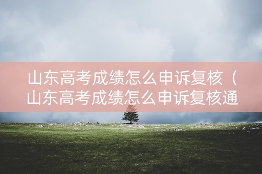 山东高考成绩怎么申诉复核（山东高考成绩怎么申诉复核通过）