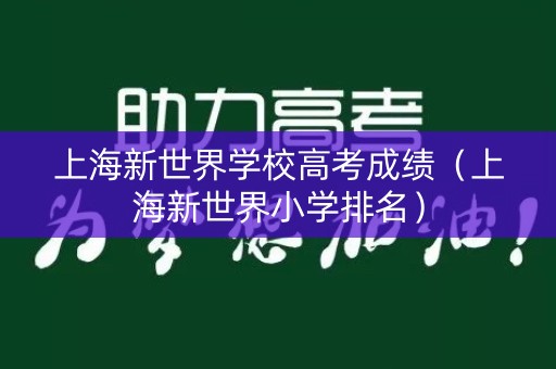 上海新世界学校高考成绩（上海新世界小学排名）
