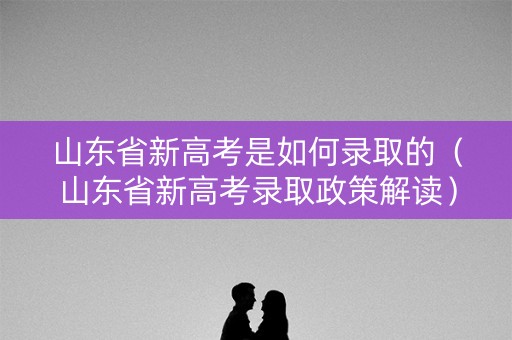 山东省新高考是如何录取的（山东省新高考录取政策解读）