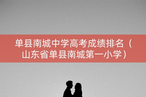 单县南城中学高考成绩排名（山东省单县南城第一小学）