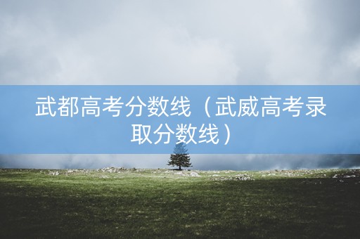 武都高考分数线（武威高考录取分数线）