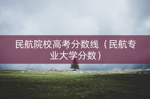 民航院校高考分数线（民航专业大学分数）